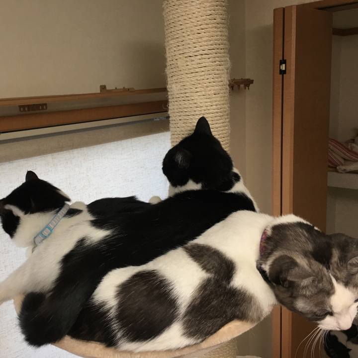 Efa05553 3559 4b57 a35d 0921fa568e20