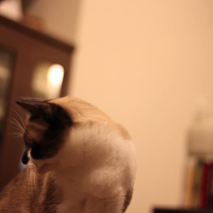 Efa057a0 fef8 42ce aa6e 6ca4e62b7c37