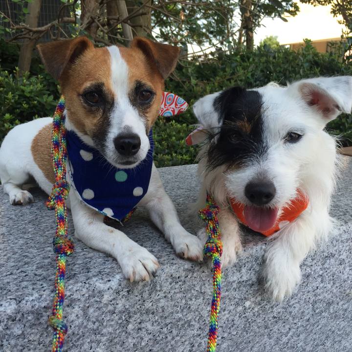 Efa0ca3d e1ac 4d78 b3a2 7a108b8f158e