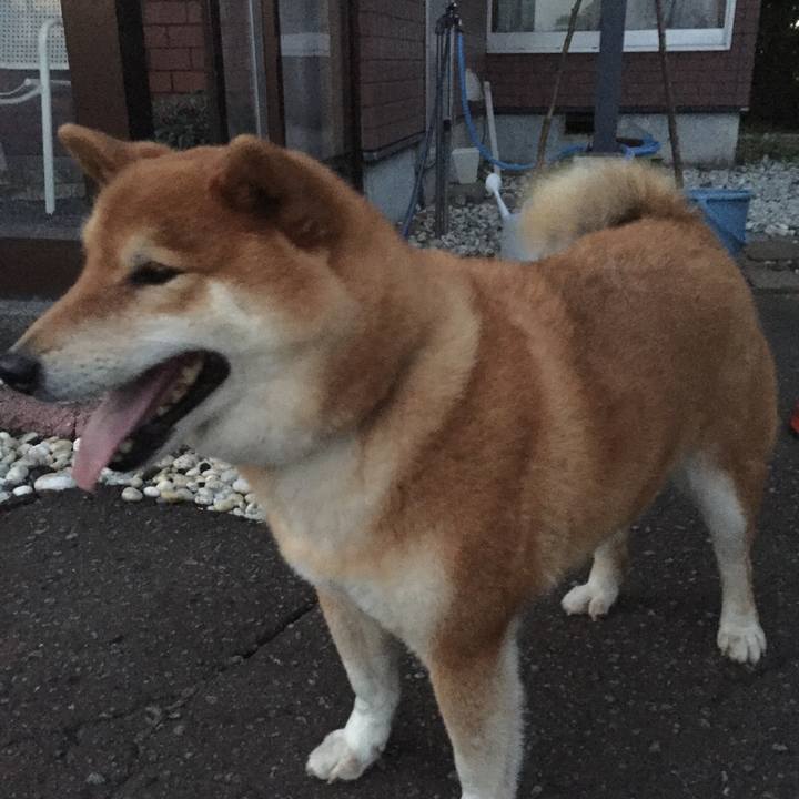 Efa13ecf a1ec 4424 ac4e d72cc8d16949