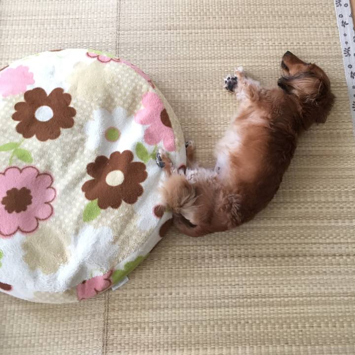 Efa1970c 8095 4aad a2c3 748138d6ab4f