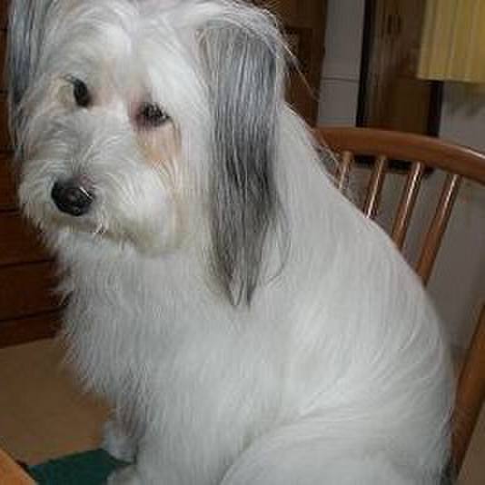 Efa1b0c1 a1ad 44e7 99fe 30fe3c0a1a3f