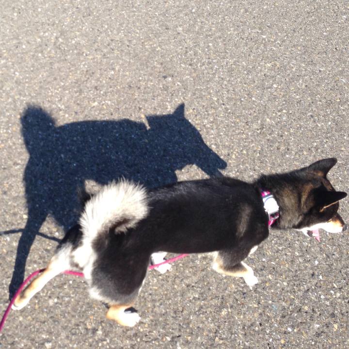 Efa313f1 2d66 4634 8164 d848597c1818