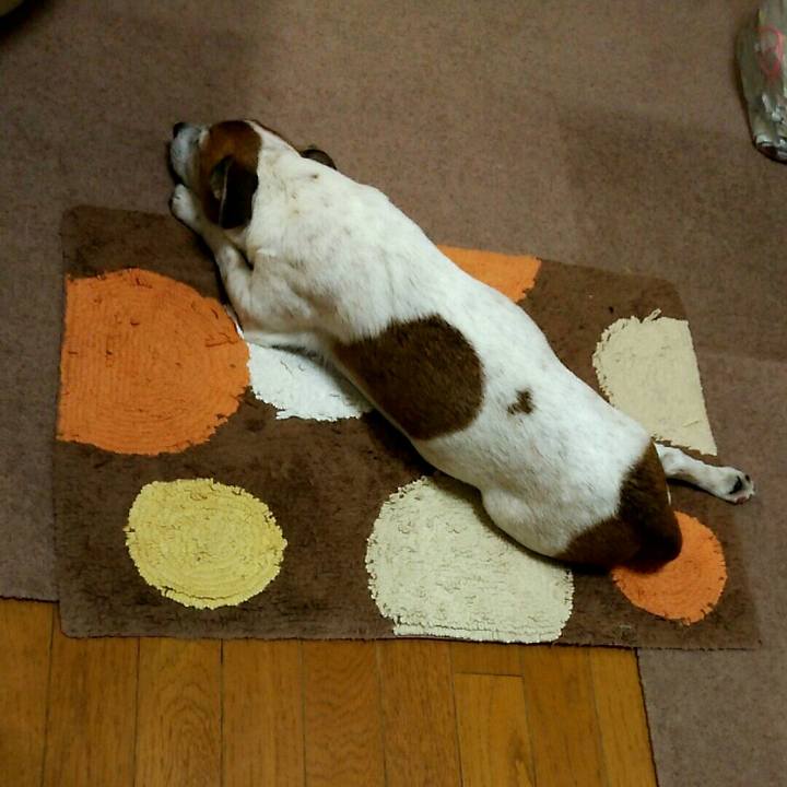 Efa3566e 3d2b 444c 89fa 793c35d3f61f