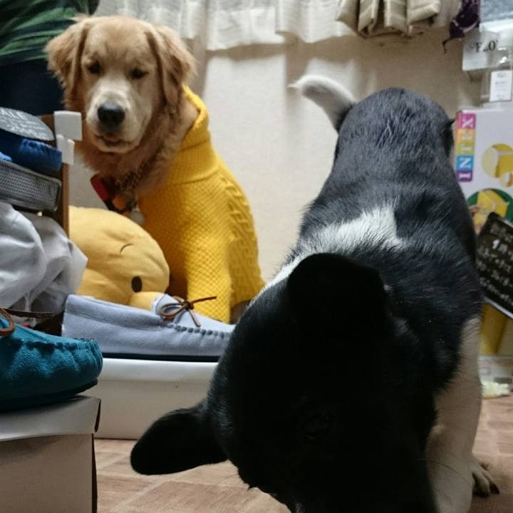 Efa361f0 2057 4eb3 90f5 502fcd4dc8a3