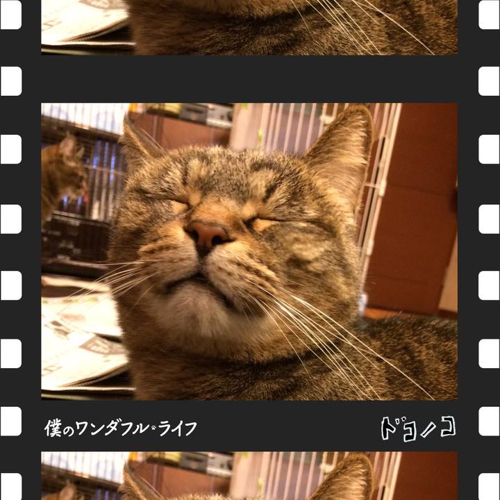 Efa3f3fa cd3a 49a2 ab5a 9613bd8e642c