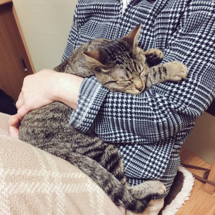 Efa428c6 be1b 4e50 a14f 8a65c2f4c133