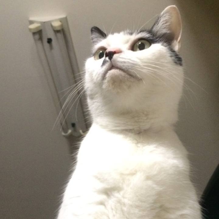 Efa42e67 f73d 4dbc b50f 0923325d133a