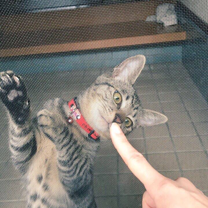 Efa4b59b f1c8 4abb ad4b 4dfaf133da02