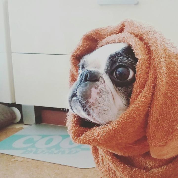 Efa594c2 40d0 4405 8834 ef64ba9e4ec7