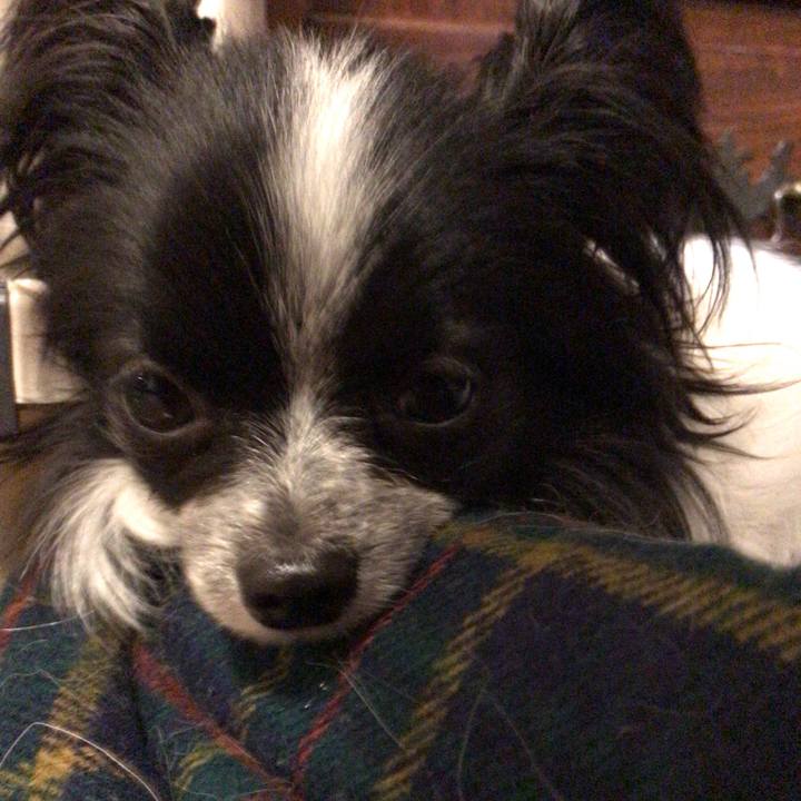 Efa5d857 207f 470a beb5 3df6aea37bd9