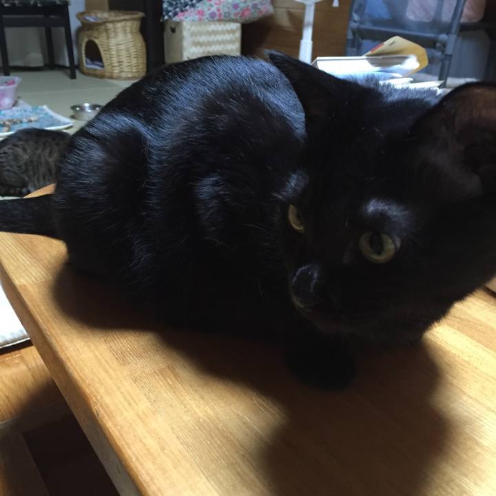 Efa5e758 a7b8 43e6 8901 5a2ef309a4f8