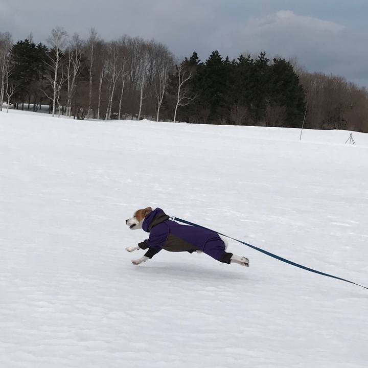 Efa63b17 30b0 48c0 95ce 5b497401a583