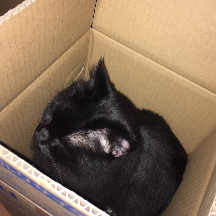 Efa6efbe f88a 4022 bfc4 3da7db73f6af