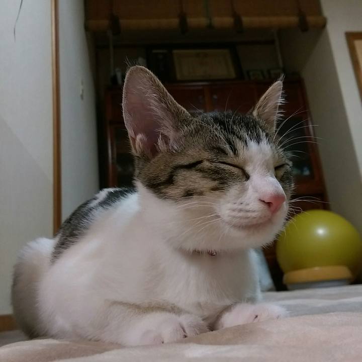 Efa71a2e 961b 4f90 a857 57c132376cf9