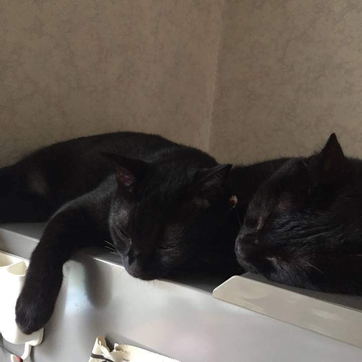 Efa72cd9 d9d4 430f 9699 6253a66075a8