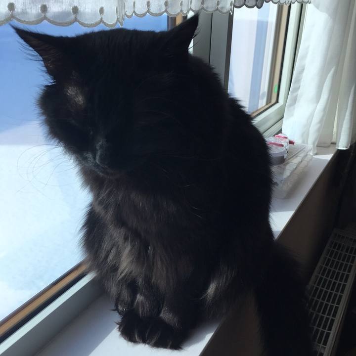 Efa76b1e 890f 4f30 9019 49ff2ae04af0