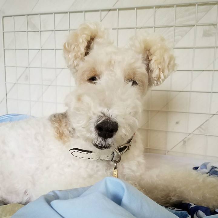 Efa7c3ab afc0 4090 a667 d3399cb5d09f