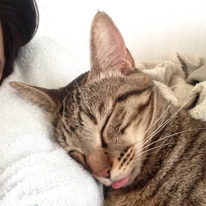 Efa7cdfb fe34 4d2d 82a6 0478b4b831c8