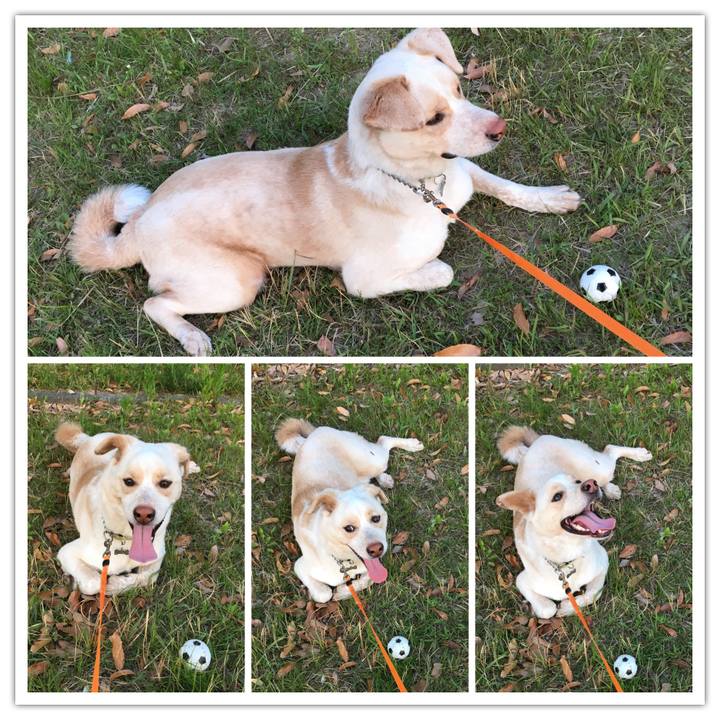 Efa7da6f 5b32 4b13 84b4 f181532dd6b4