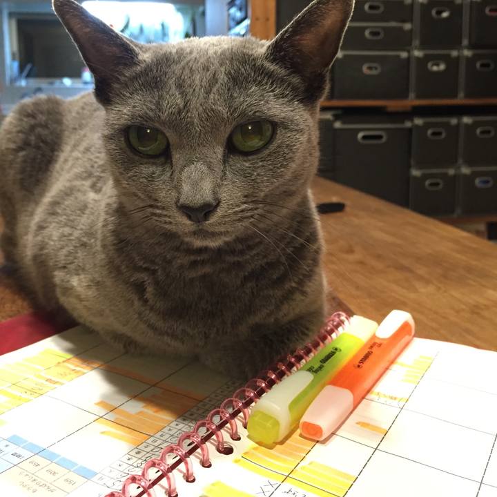 Efa80f66 be73 44d2 96a0 570d0ab6565b