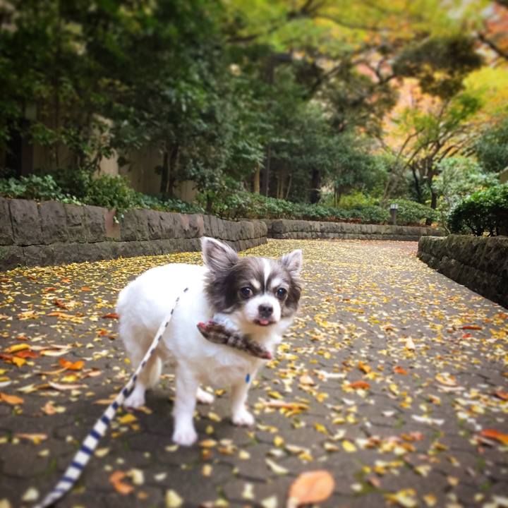 Efa975a9 d5f3 4118 975a 1223a896aa57