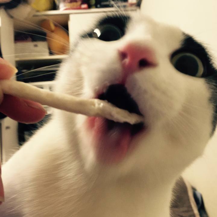 Efa9eb85 827a 4820 8763 3f0f64a07a99