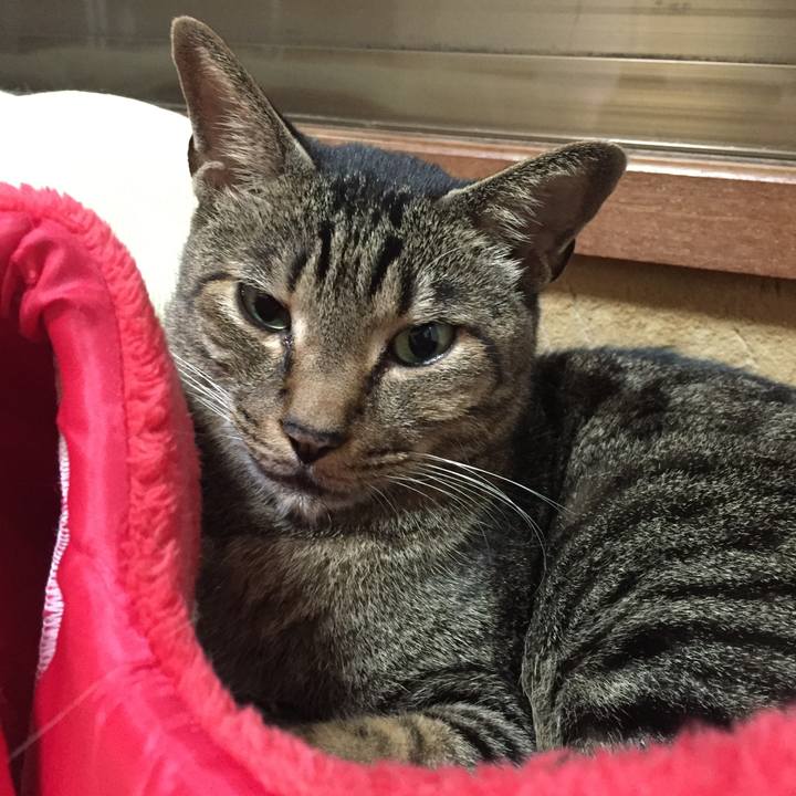 Efaa020c c924 44f1 ad4c 8f97d110232b