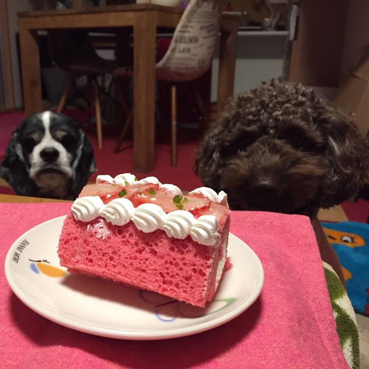 Efaa5a36 723a 4b39 9a02 088c5a909388