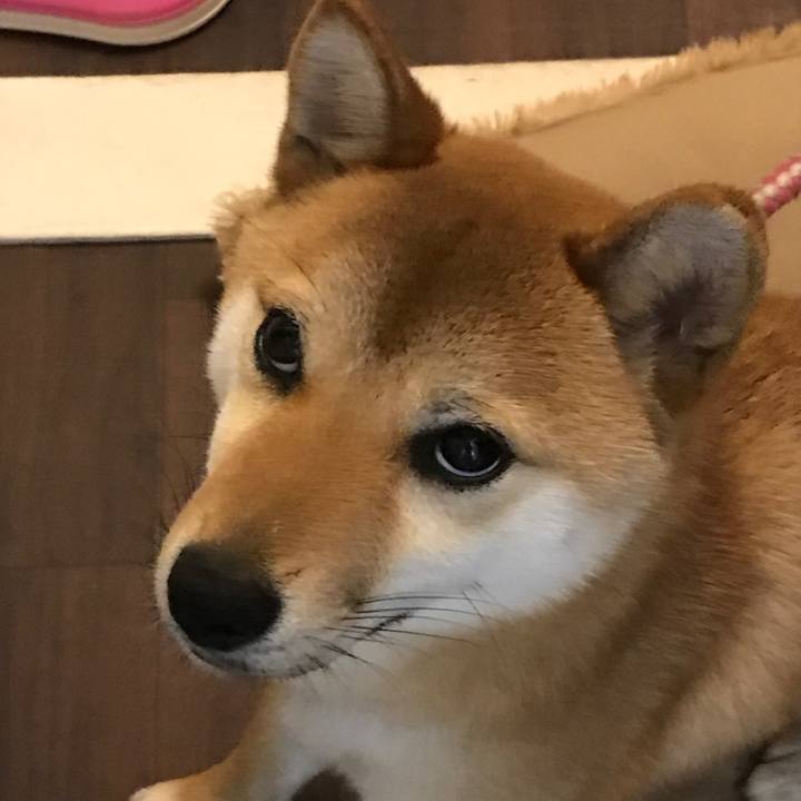 Efaaa581 789b 49d6 b7cb f088eff2620e