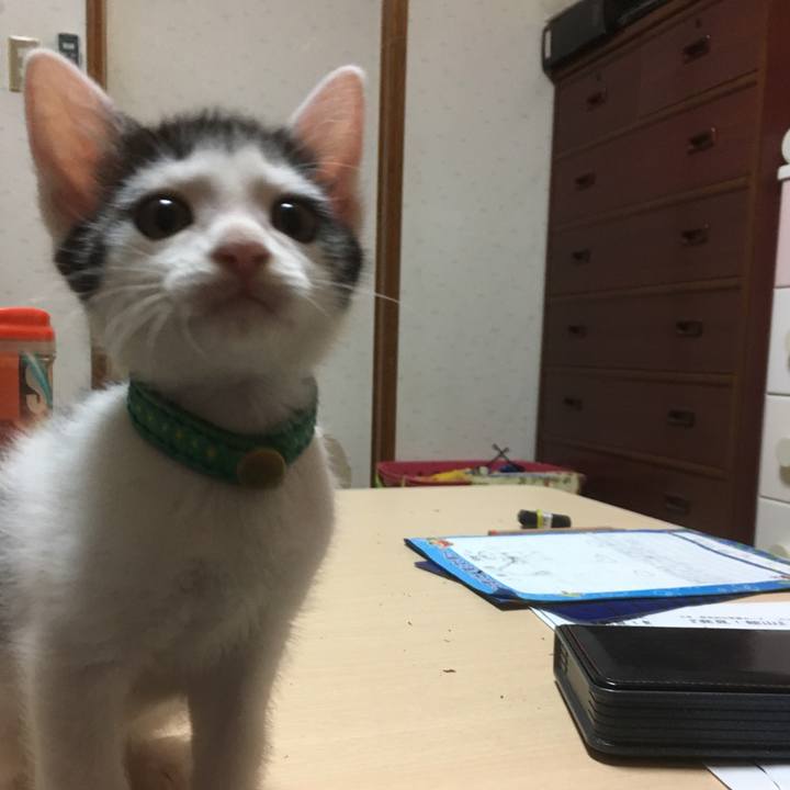 Efaaea70 b5e9 4a29 b782 96c9056c2178