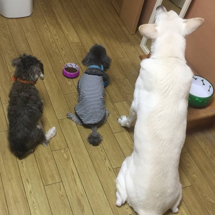 Efab9579 0891 4ee0 8c0f d974b280c88c