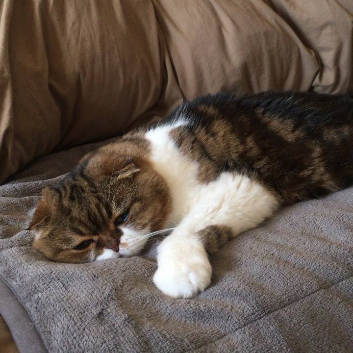 Efabe780 fb23 46a3 ae5b 424b7e304292