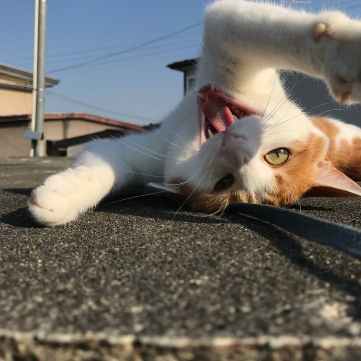 Efabfe64 d188 4974 99bf 1cb9c9265c75