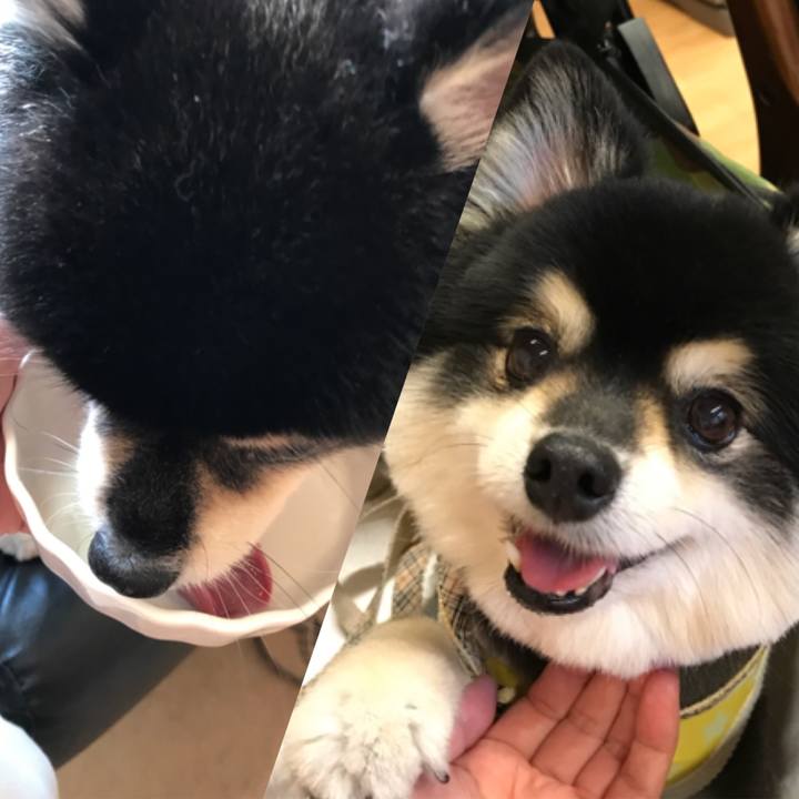 Efac3bbc b71f 4ff9 89fe 1a390665590d