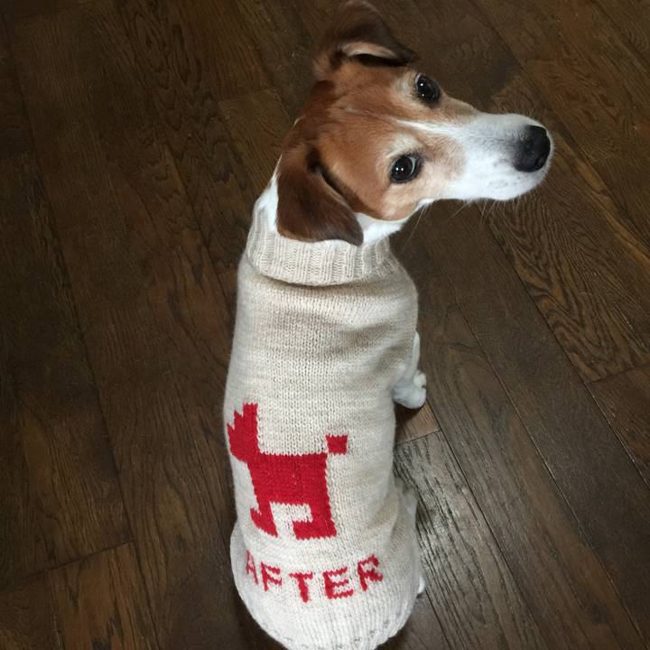 Efad4ad2 5891 4053 9671 181ef3274dae