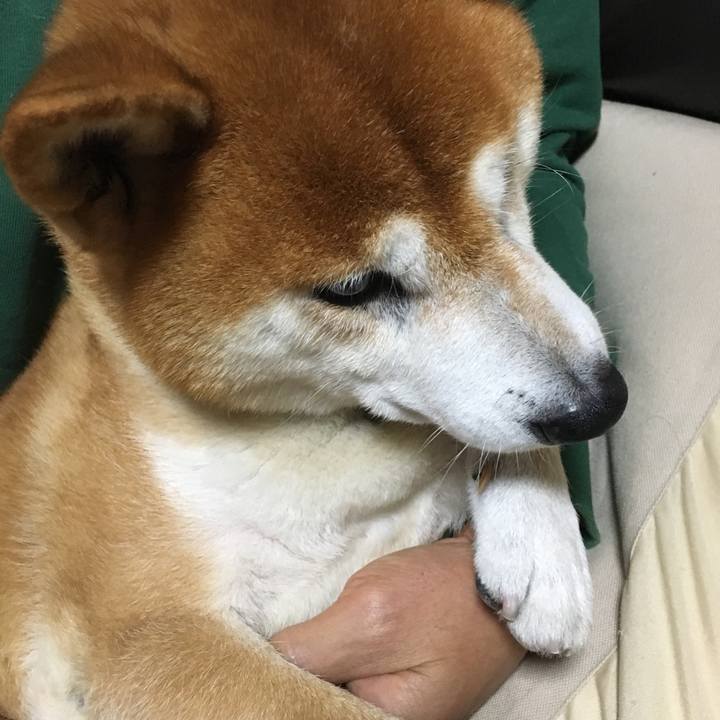 Efae2765 ed4a 4bc3 bebc bab93f21e78b