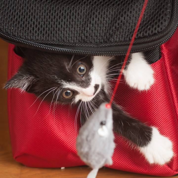 Efae29f8 93ad 45f1 9590 7214aecd5310