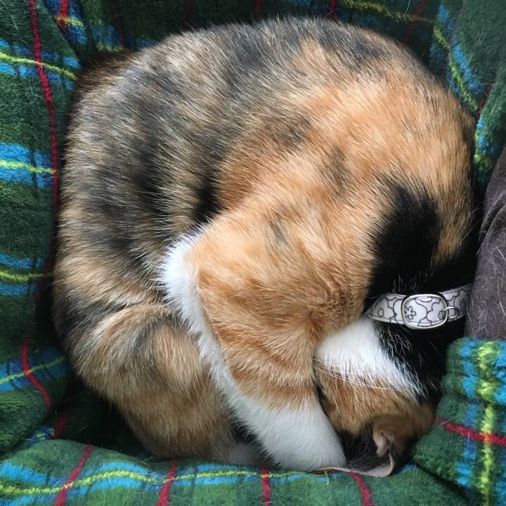 Efae368f 9333 42d0 9a66 9b8e3760908e