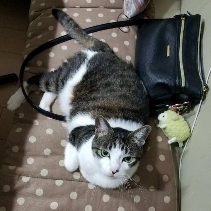 Efaf2237 4213 432b b60c b8950147c351