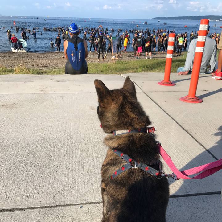 Efaf3ca5 7876 4623 b17a 06569f56ef6c