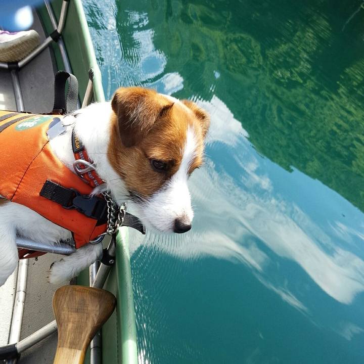 Efaf7730 12e8 4e2c a1da 922ffa8dcc13