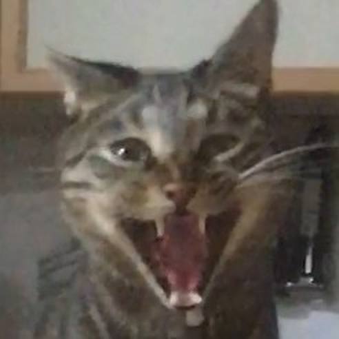 Efafd211 44c8 4225 8f3d 923ab82497b9