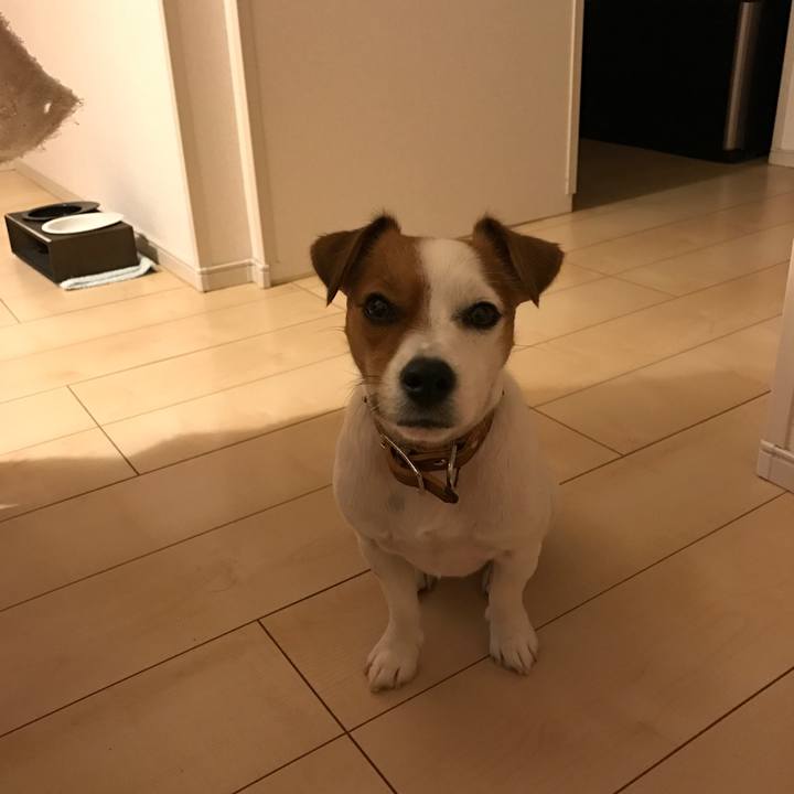 Efb04a17 6776 4e30 a4b9 db39c4099ee5