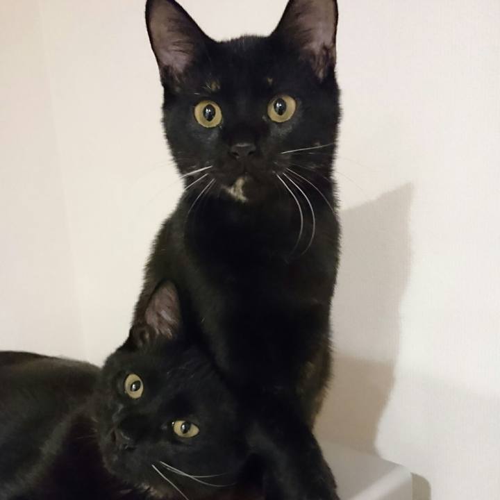 Efb17e16 1cc7 4035 b1cb b7de4980818d