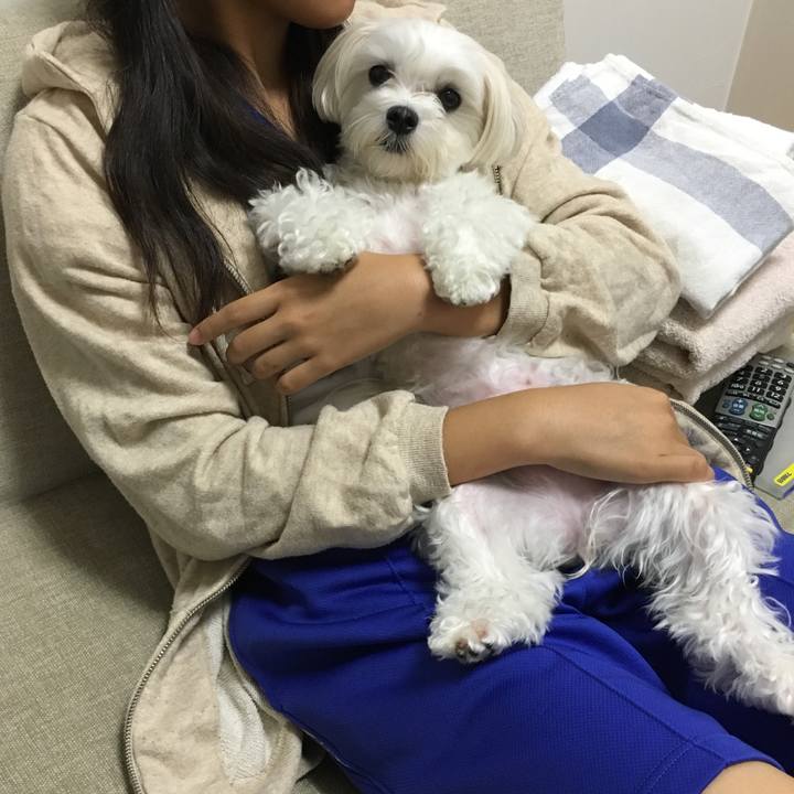 Efb1c8b7 86b9 42d8 94da 39a7ee3e5ad2