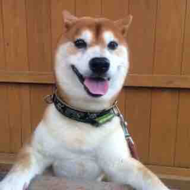 Efb1db61 0bc0 4a5d b302 227b43e0061f