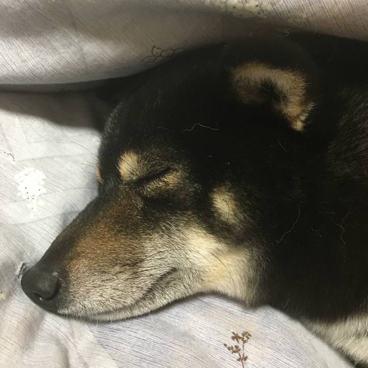 Efb22147 058e 44fa 9956 de33f369eaa8