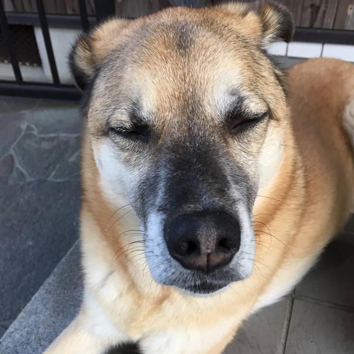 Efb27abc 715e 4292 b0bf c89ef5de603b