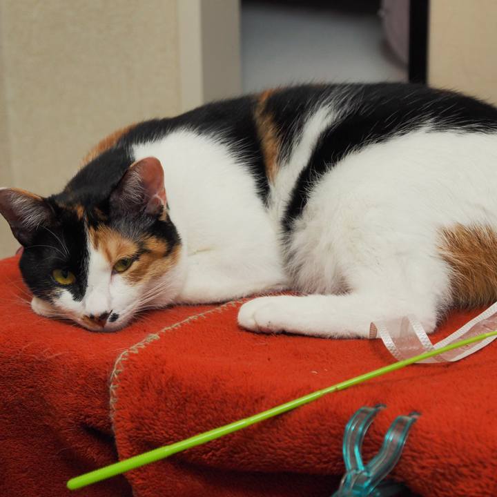 Efb2b483 0c07 4b6b 8e4a dd0b023aac87